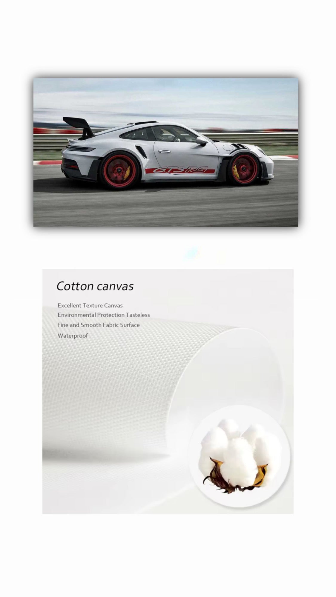 Porsche 911 GT3 RS Stampa su Tela